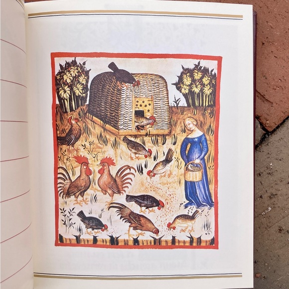 1985 The Medieval Woman An Illuminated Book of Days Calendar Journal History - Picture 4 of 15